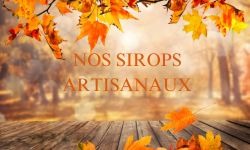 Les sirops artisanaux